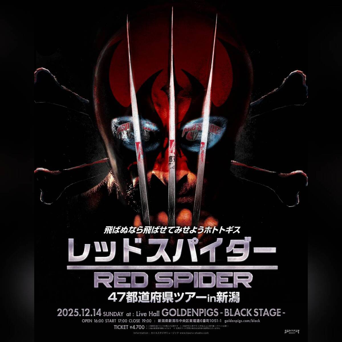 RED SPIDER 47都道府県TOUR FINAL in日本武道館 Amazon.co.jp: RED SPIDER 47都道府県TOUR FINAL in 日本武道館
