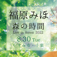 福原みほ 森の時間