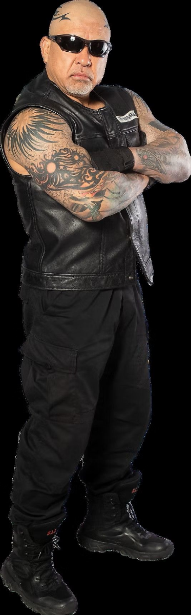 高槻プロレス　夏のBIGマッチ スライド画像3