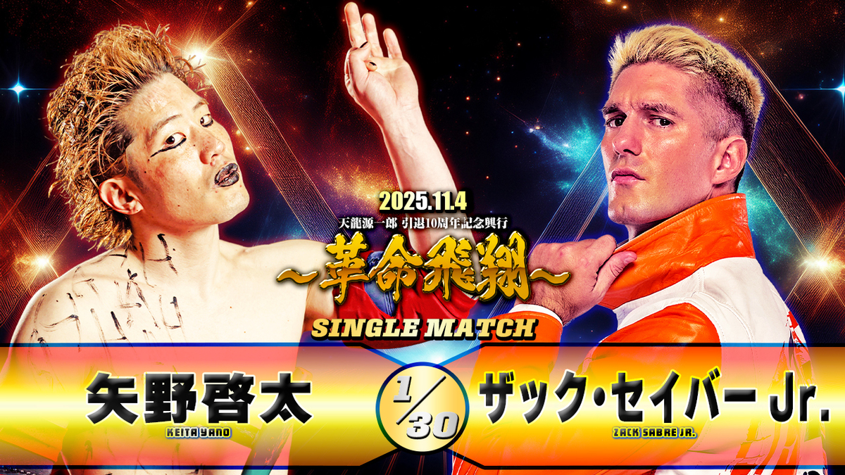 天龍源一郎 プロ格ヒーローズ 引退 天龍源一郎 プロ格ヒーローズ